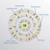 NEUROMIDE AMPOULE