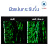 ExoNAD+ FIRMIING MASK 5 แผ่น